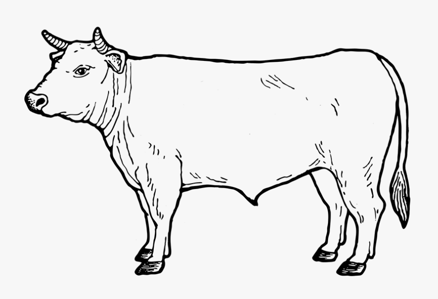 Drawing Cow Easy Transparent Png Clipart Free Download - Miller And ...