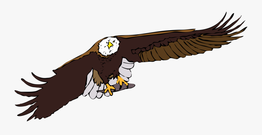 Eagle,bald Eagle,vulture - Flying Eagle Gif Cartoon, Transparent Clipart