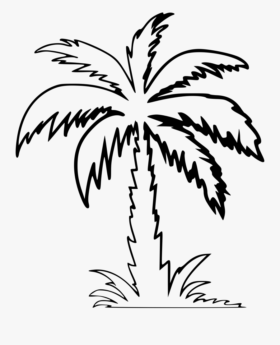 Clipart - Palm Tree Clipart Outline, Transparent Clipart