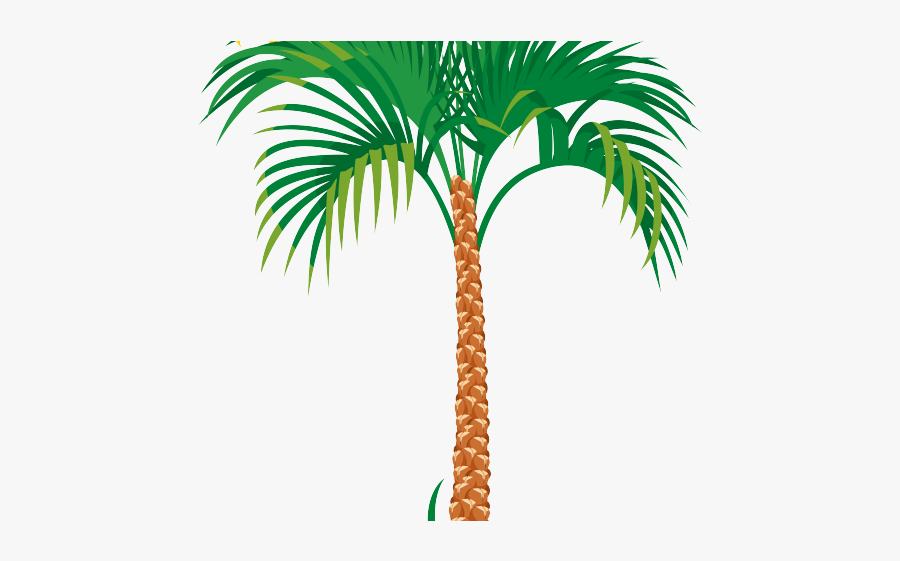 Palm Tree And Sun Transparent, Transparent Clipart