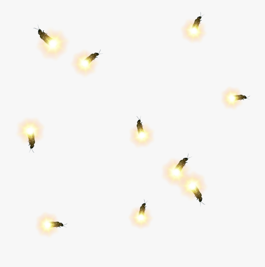 #firefly #fireflies #lighteningbug #lighteningbugs - Bee, Transparent Clipart