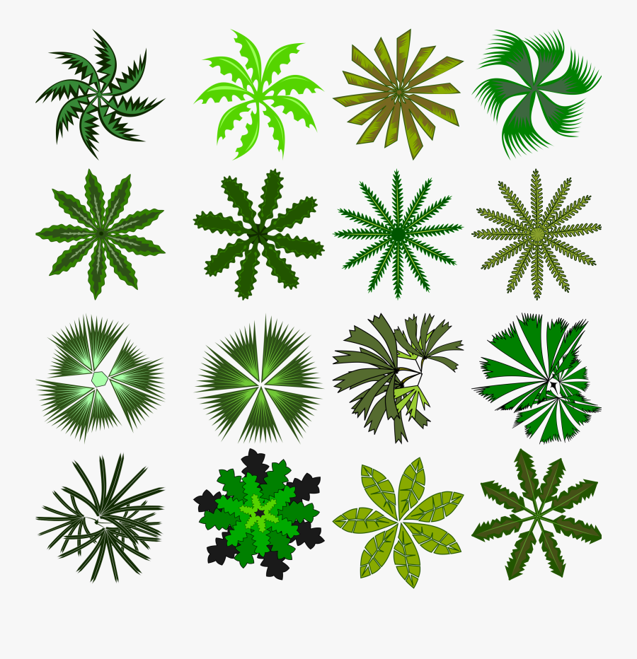 Tree Top Png Awesome - Small Plants Png Top View, Transparent Clipart
