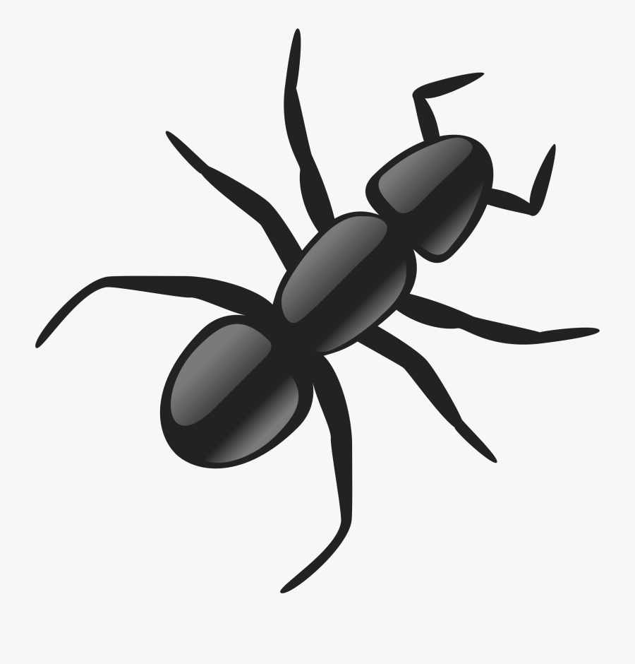 Insect Clipart Transparent Background - Ant Clip Art, Transparent Clipart