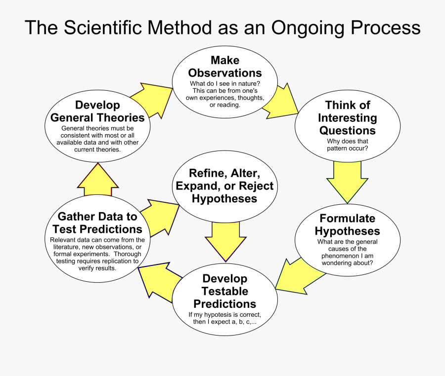 Scientific Method As An Ongoing Process, Transparent Clipart