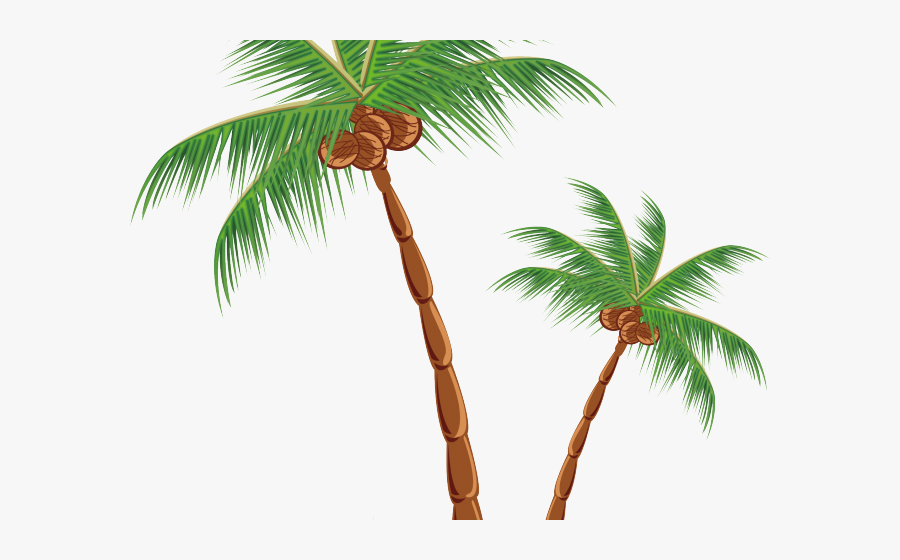 Transparent Coconut Tree Clipart Drawings Of A Hut Free Transparent Clipart Clipartkey