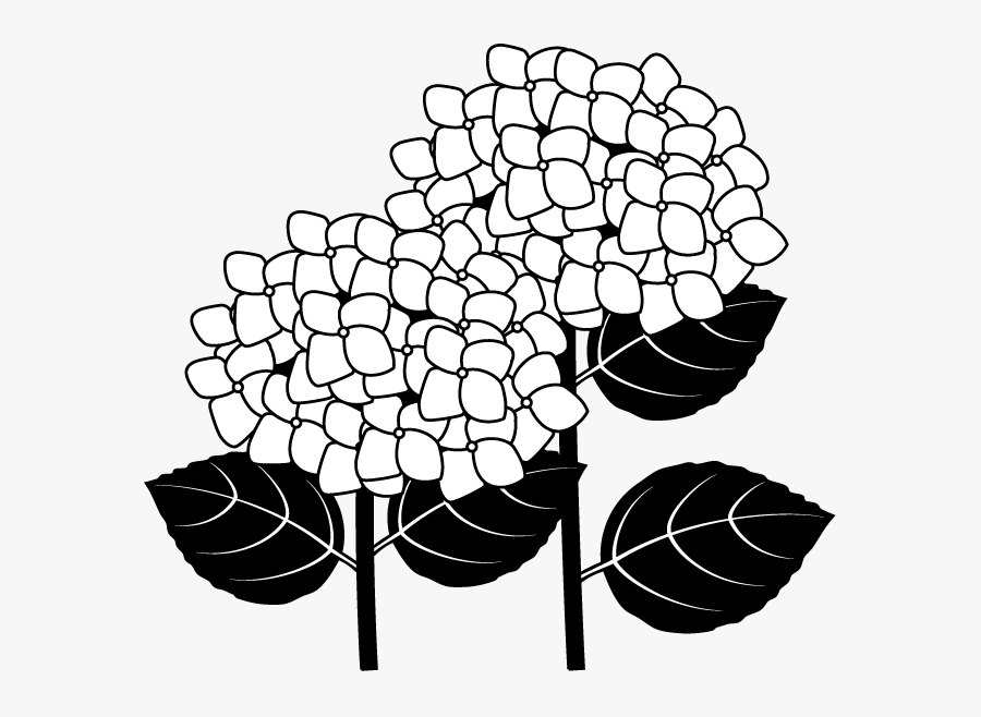 French Hydrangea Flower Clip Art - Hydrangeas Flowers Clipart Black And White, Transparent Clipart