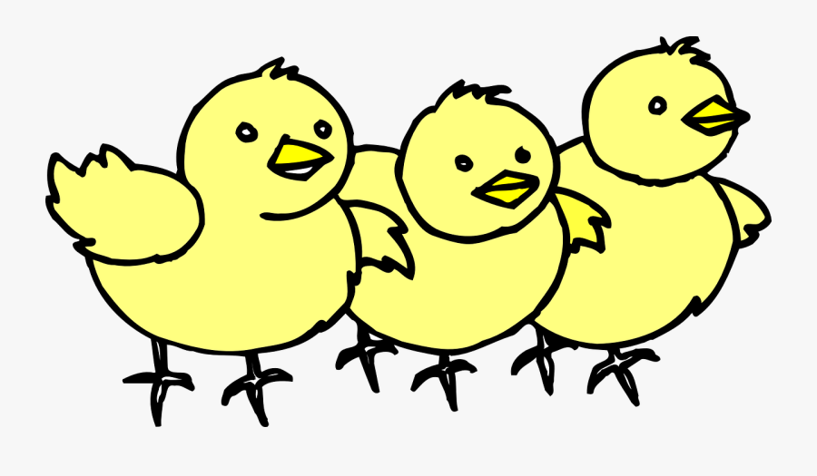 Transparent Chicken Clipart - Chicks Clipart, Transparent Clipart