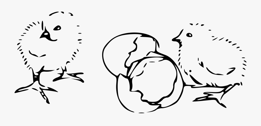Chicks Hatching Clip Arts - Chicks Clipart Black And White, Transparent Clipart
