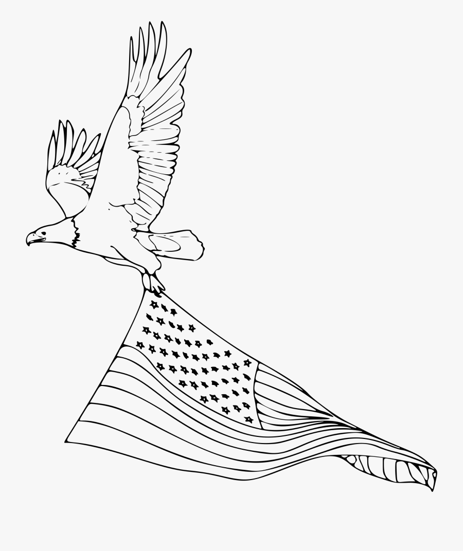 Transparent Woodpecker Clipart - Easy Drawing Of A Bald Eagle, Transparent Clipart