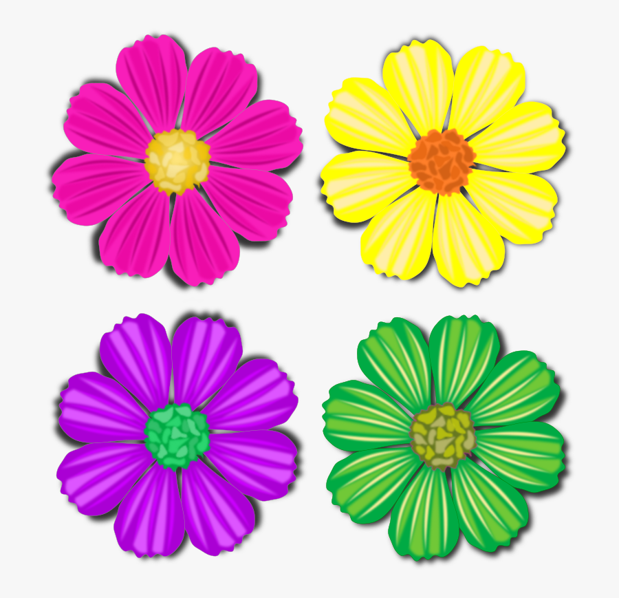 Chrysanths,flower,garden Cosmos - Purple Cosmos Flower Clipart, Transparent Clipart