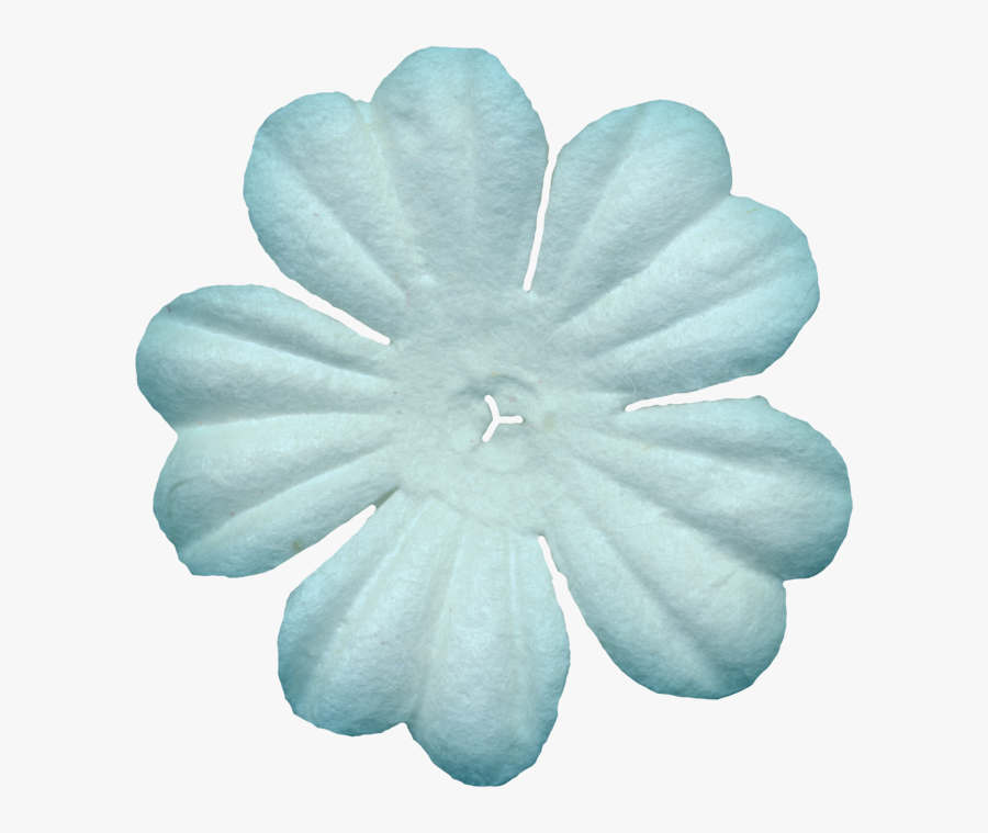 Impatiens, Transparent Clipart