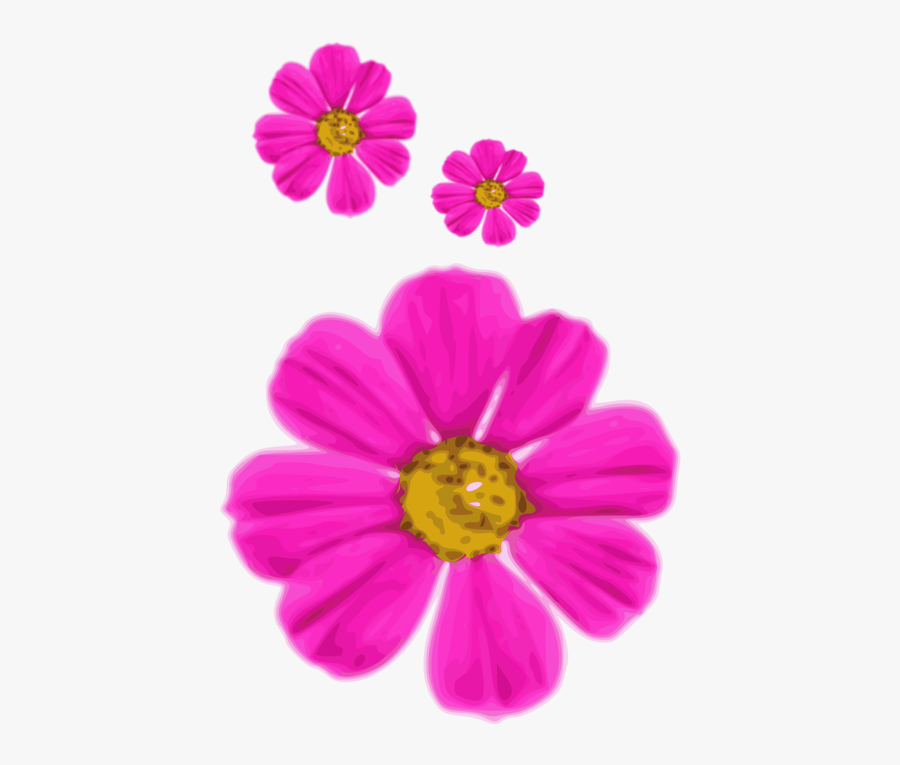 Pink,flower,garden Cosmos - ดอกไม้ สีชมพู เวก เตอร์, Transparent Clipart