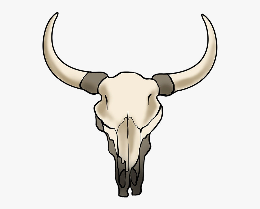 How To Draw Bull Skull - Drawing , Free Transparent Clipart - ClipartKey