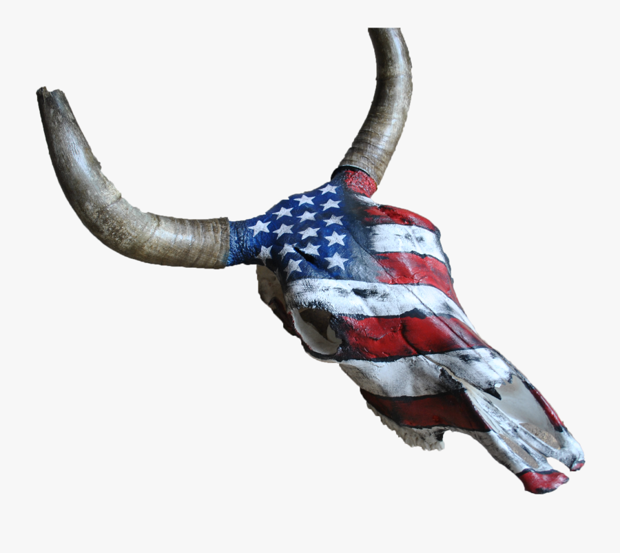 Home Kata Black Angus Bull Skull Of The Us Flag - Bull, Transparent Clipart