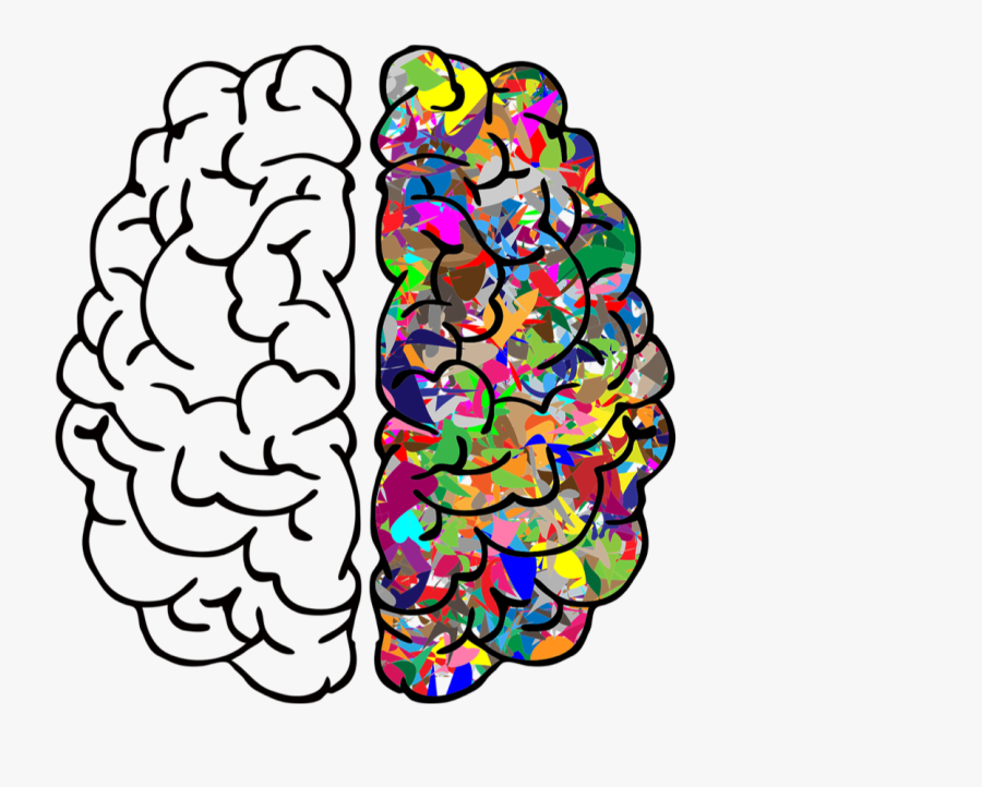 Left And Right Brain Png, Transparent Clipart