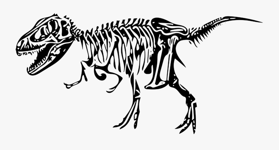 Dinosaur Tyrannosaurus Bone Free Picture - Tulang Dinosaurus Png, Transparent Clipart