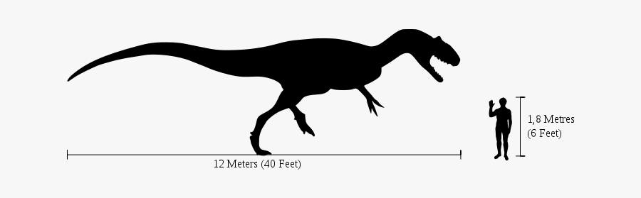 Human-allosaurus Size Comparison - Allosaurus Compared To Human, Transparent Clipart