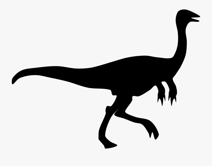 Gallimimus Silhouette, Transparent Clipart