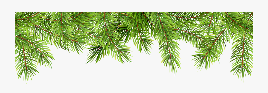 Transparent Pine Branches Clipart - Pine Border Clip Art , Free