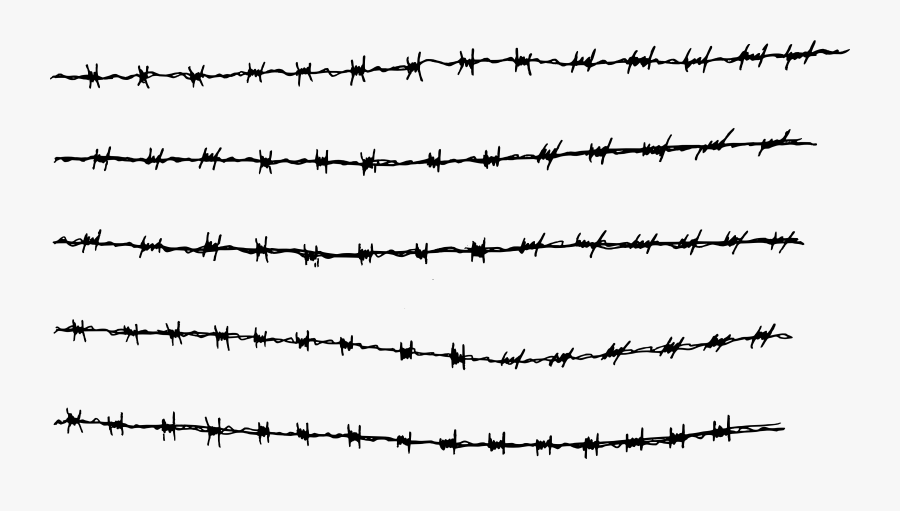 Barbed Wire Png Transparent Barbed Wire - Barbed Wire Fence Png, Transparent Clipart