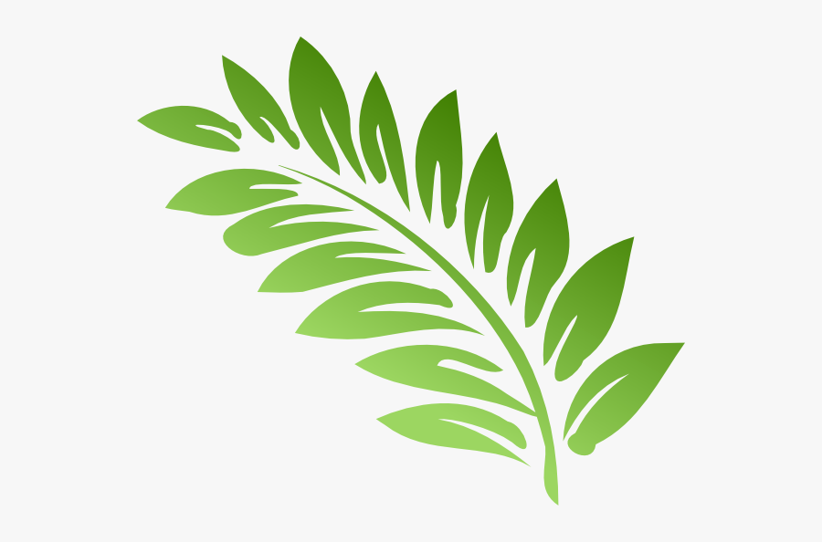 Fern Clip Art At Clker Com Ve - Fern Clipart, Transparent Clipart