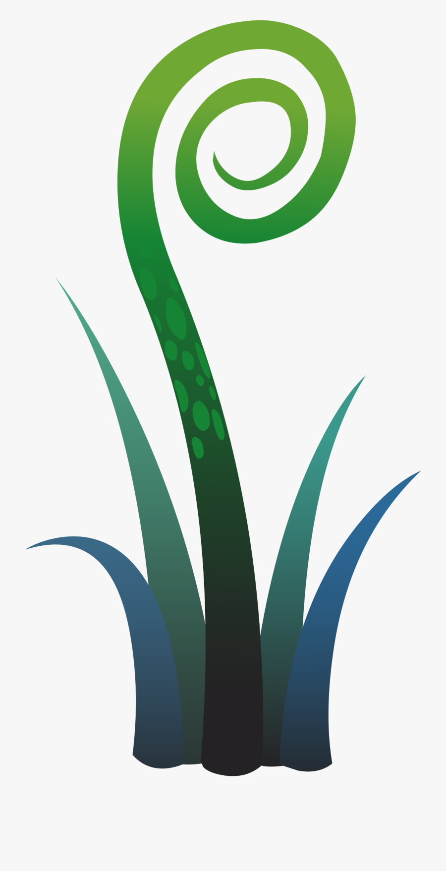 Ilmenskie Plant Fern 2 Clip Arts - Plants, Transparent Clipart