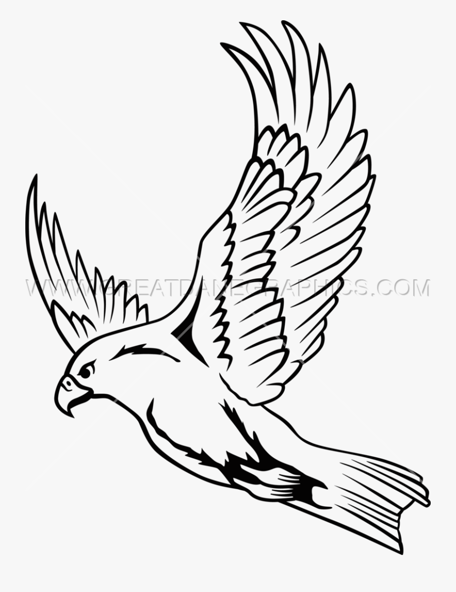 Falcon Line Drawing At Getdrawings Falcon Flying Clipart- - Easy Drawings Of Falcons, Transparent Clipart