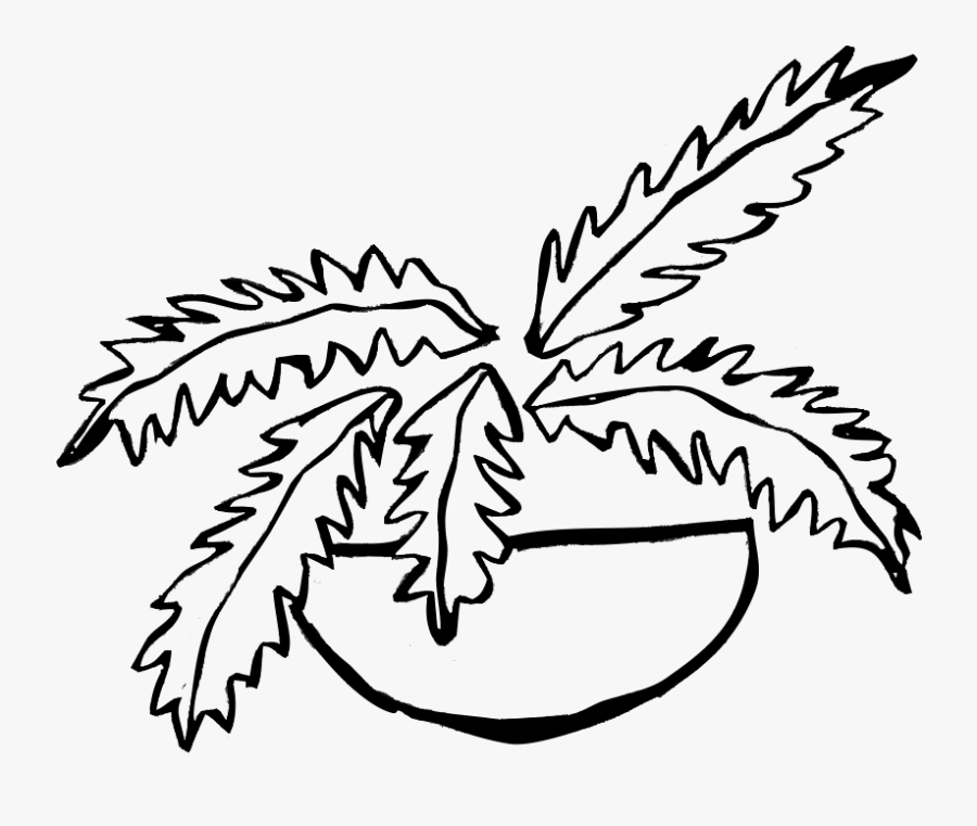 Transparent Fern Png, Transparent Clipart