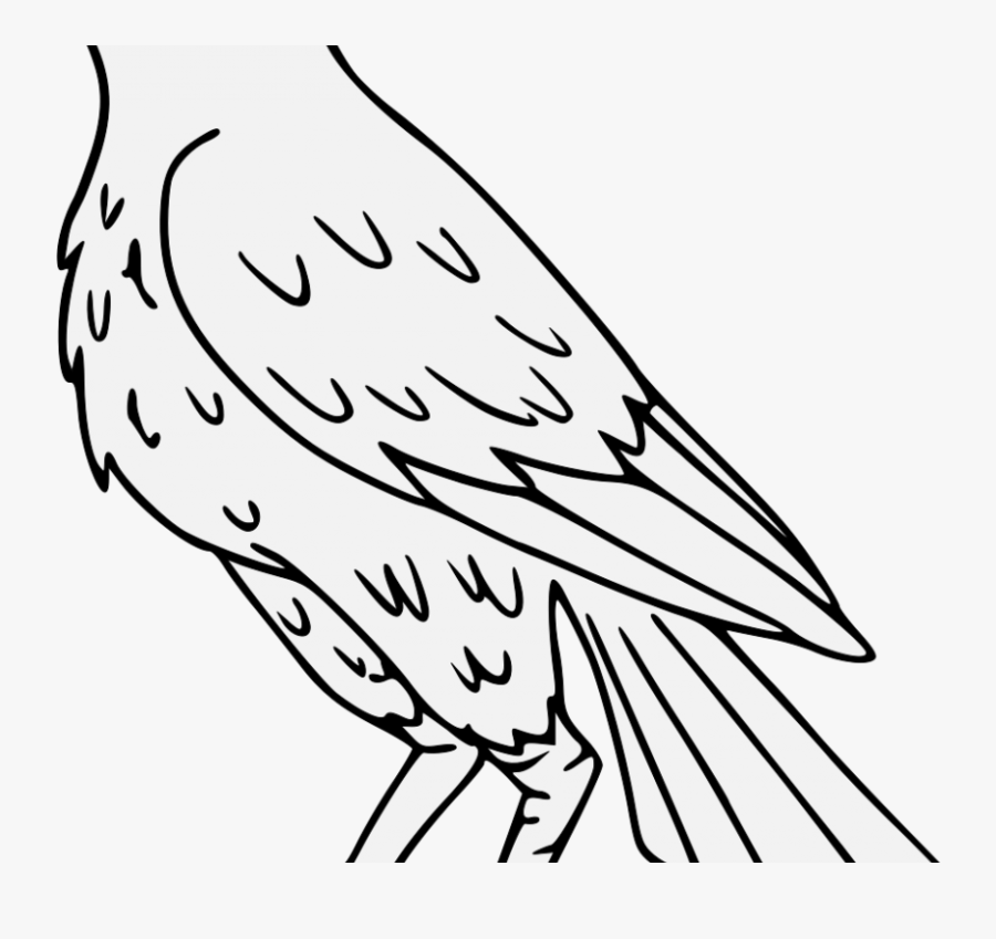 Falcon Drawing Png Clipart , Png Download - Falcon Heraldry, Transparent Clipart