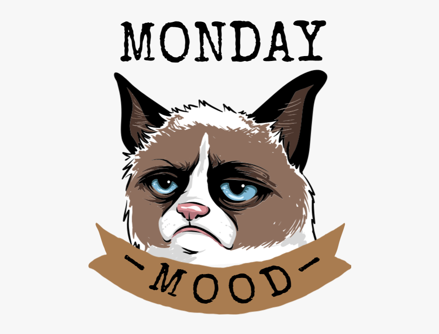 Monday картинки. Monday mood. Monday it's Monday.