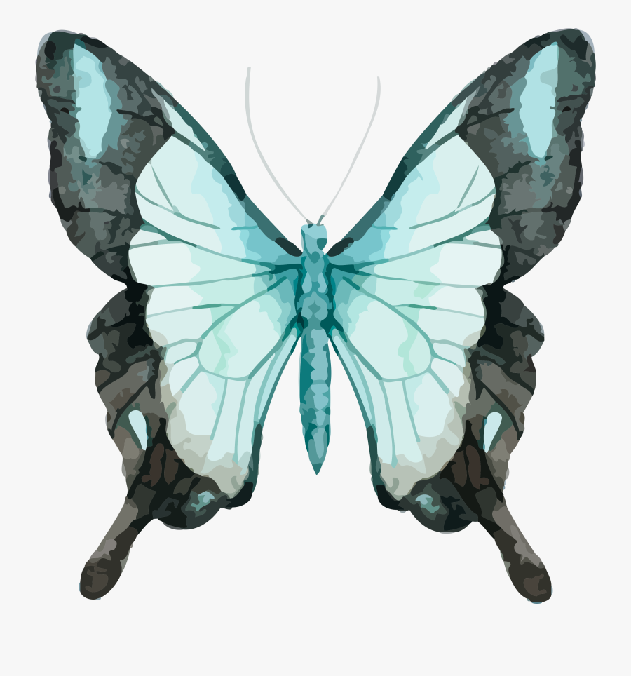 Watercolor Painting Watercolour Butterflies, Transparent Clipart