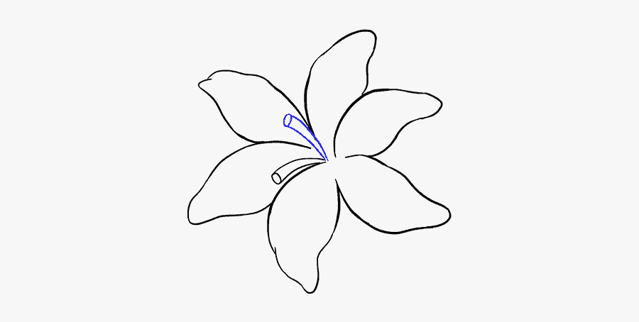 Drawn Leaf Lily - Iris, Transparent Clipart