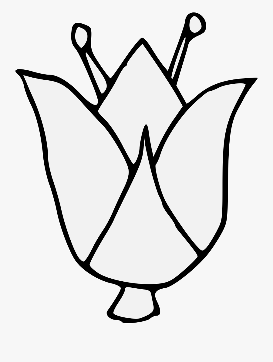 Line Art, Transparent Clipart