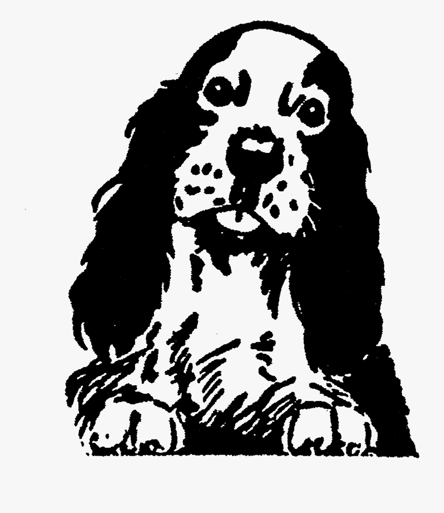 English Cocker Spaniel, Transparent Clipart