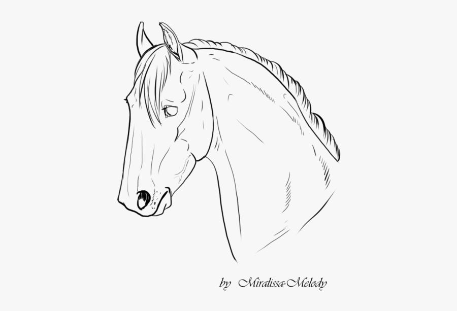Horse Line Art - Png Horse Line Free To Use, Transparent Clipart