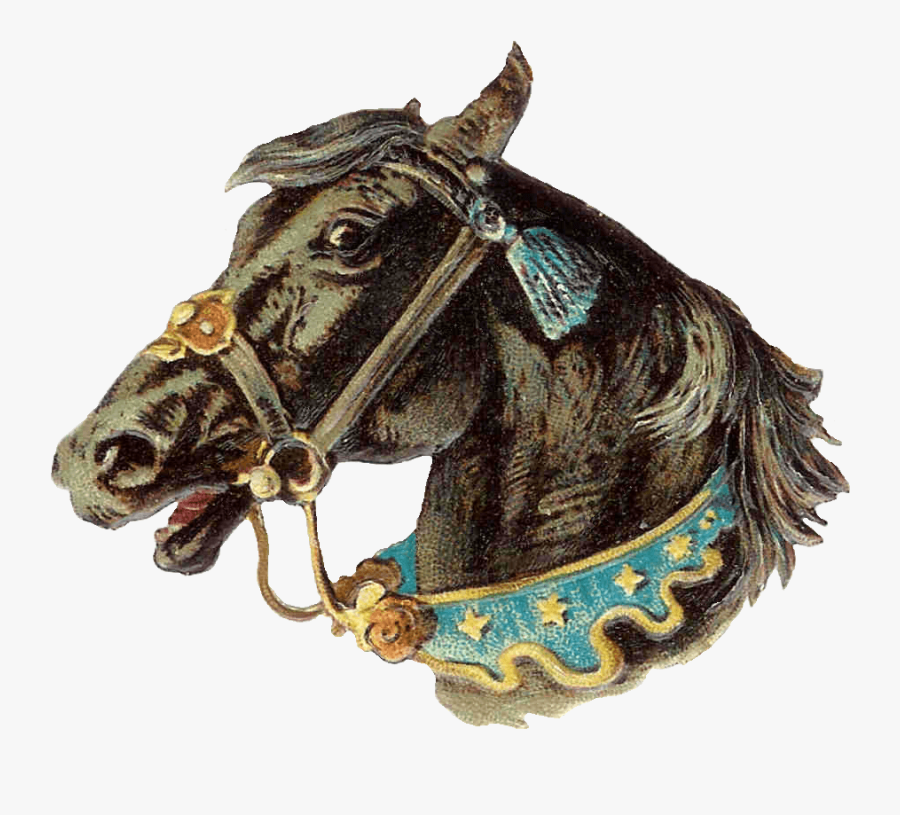 Vintage Horse Head Clip Arts - Horse Head Vintage Illustration, Transparent Clipart