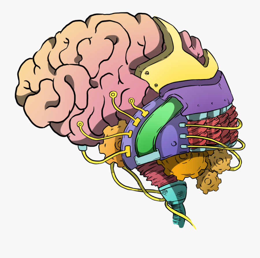 Neural Network Brain Clip Art