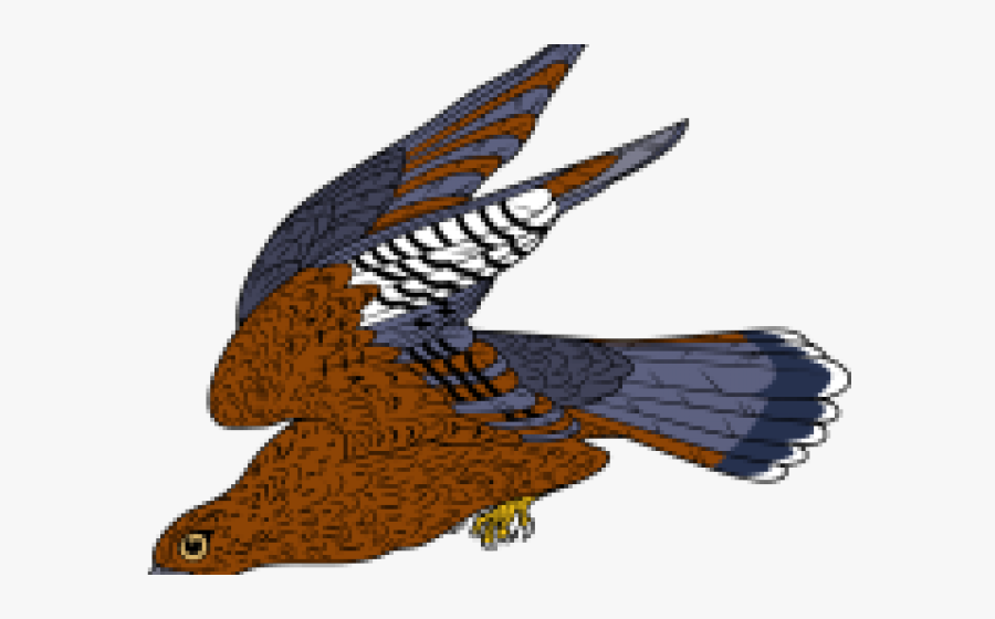 Falcon Clipart Diving - Golden Eagle, Transparent Clipart