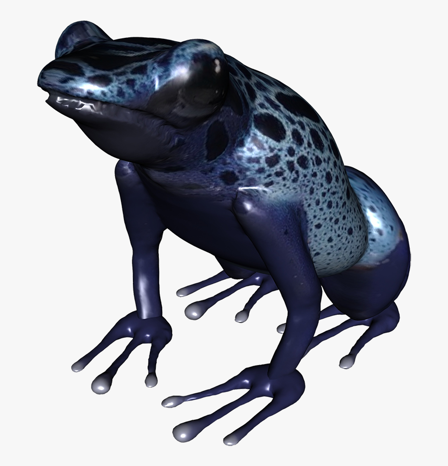 Clip Art Underside Of Png Blue - Poison Dart Frog Transparent Background, Transparent Clipart