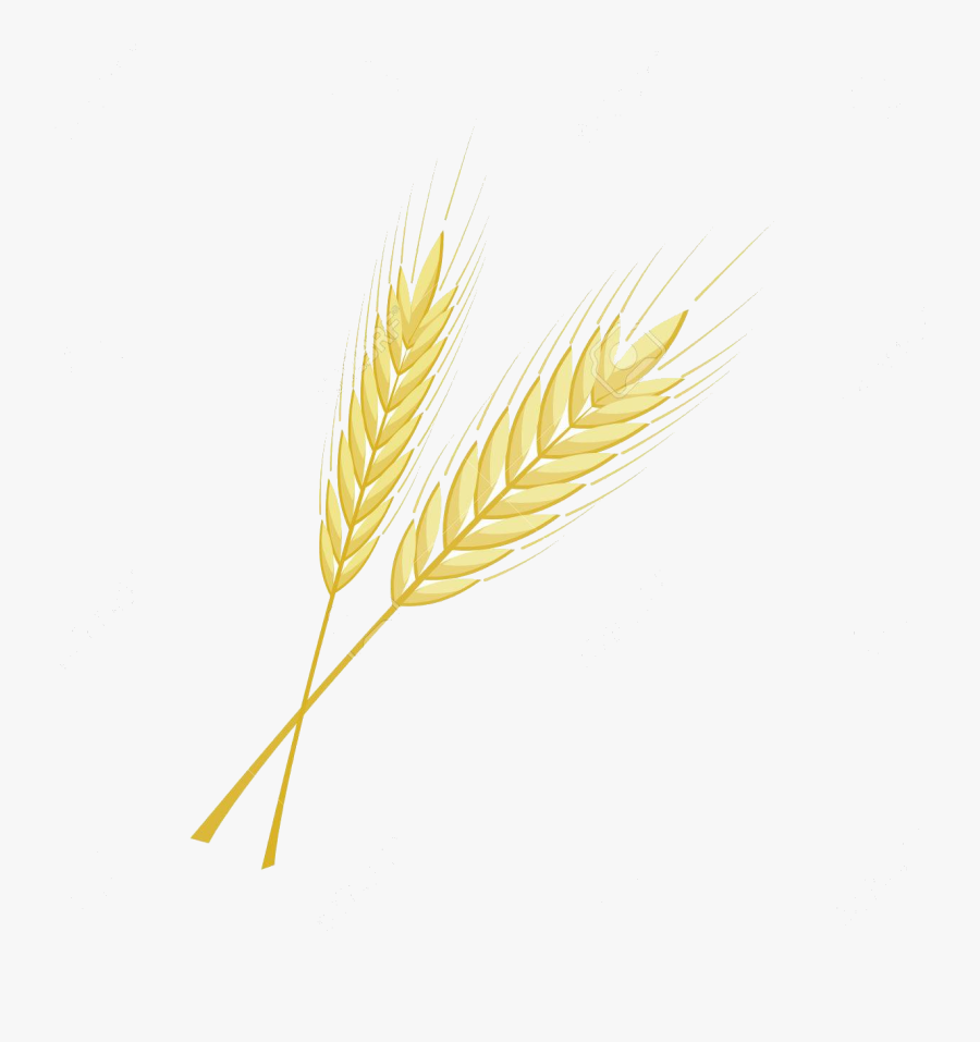 Wheat Barley Clipart Bunch Free On Transparent Png - Korn Ax, Transparent Clipart