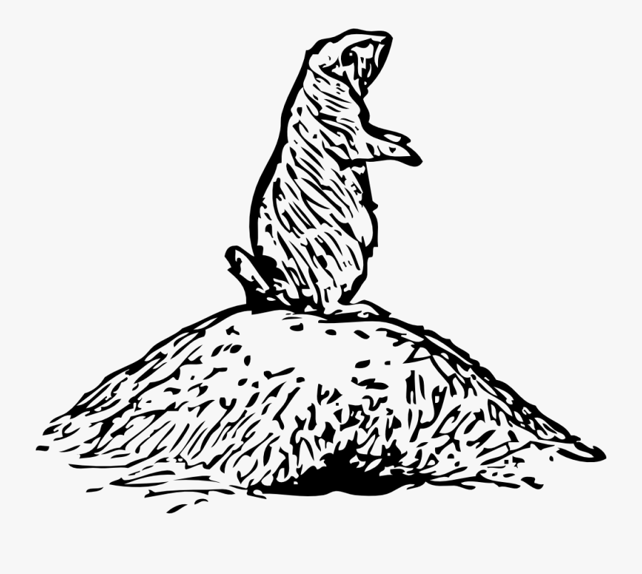 Otter Clipart Prairie Dog - Drawing Of Prairie Dog, Transparent Clipart