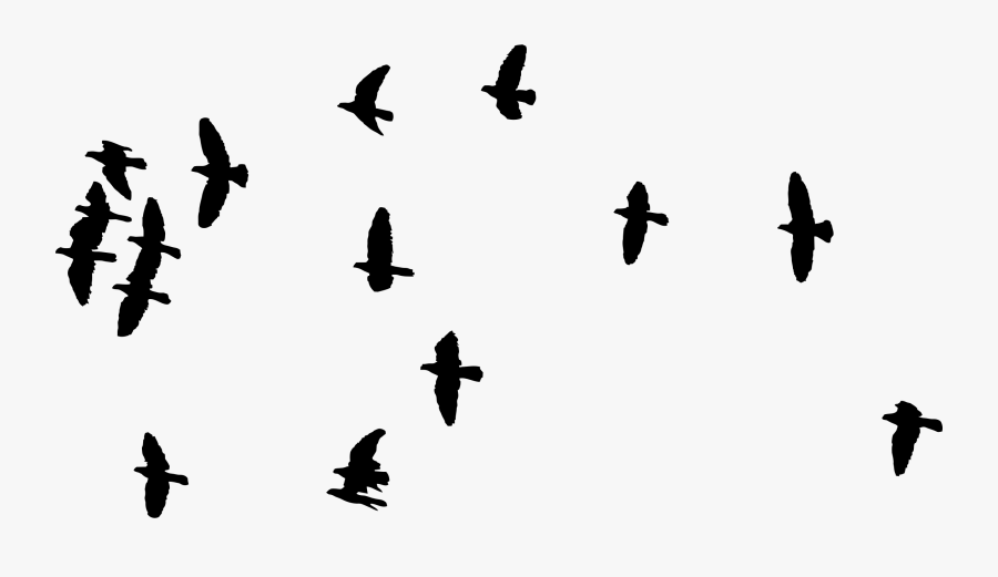 Silhouette,angle,sky - Flock Of Birds Silhouette Transparent, Transparent Clipart