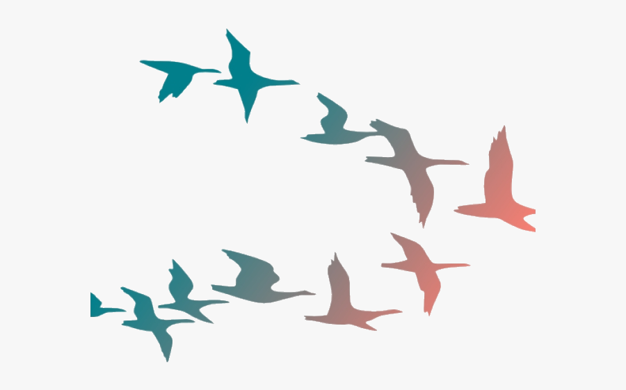 Bird Flying Birds Clipart Flock Of Cartoon Transparent - Colorful Birds Flying Png, Transparent Clipart
