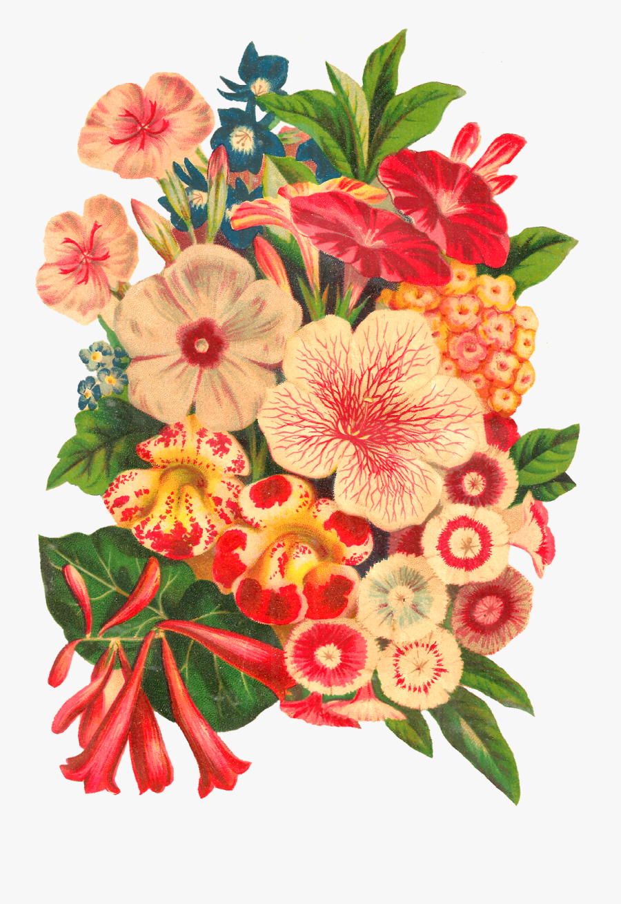 Clipart Sale 60% Off, Flower Doodle Clipart, Digital - Botanical Flower Clip Art, Transparent Clipart