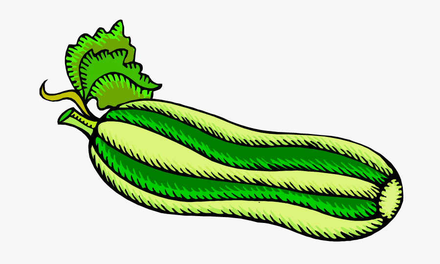 Digger Street Zucchini Clipart - Zucchini Coloring Page, Transparent Clipart