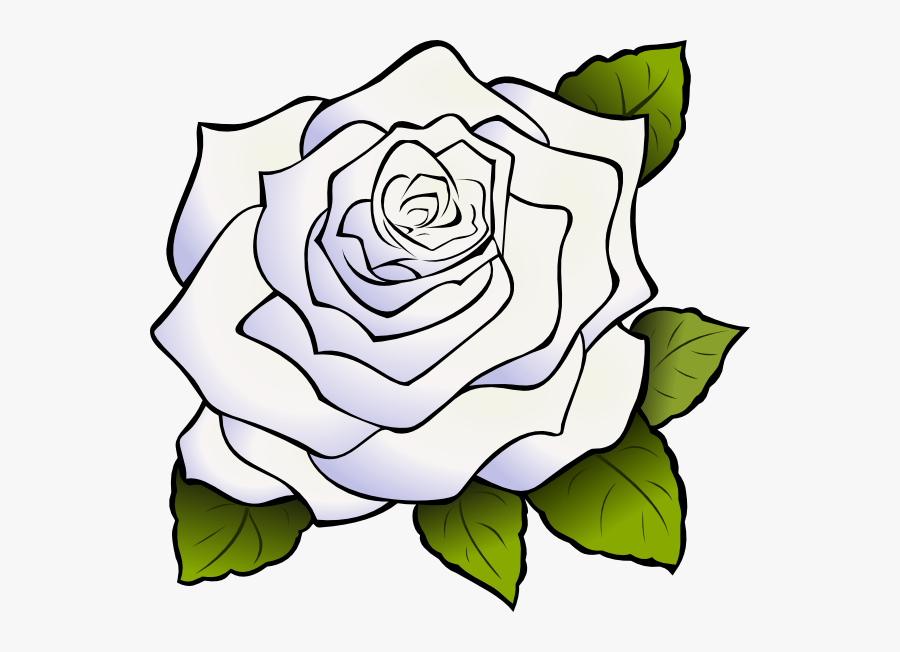 White Rose Clipart, Transparent Clipart