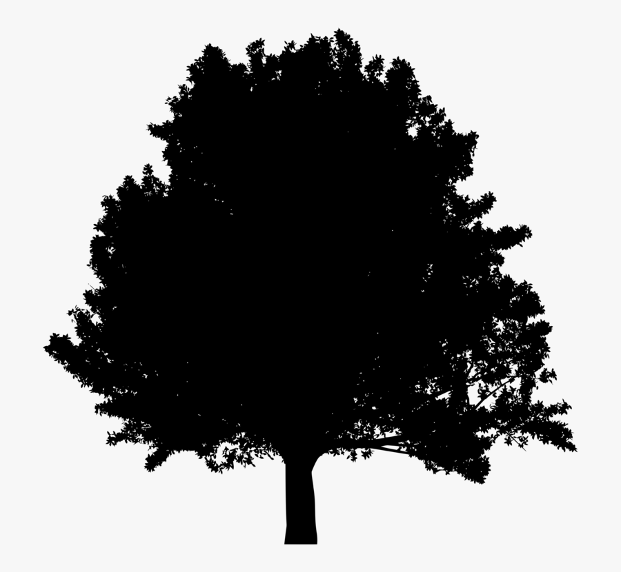 Transparent Treehouse Clipart Black And White - 2d Trees Texture Png