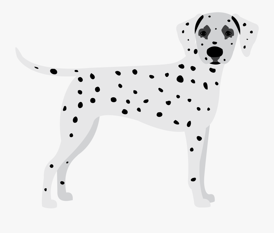 Dalmatian , Free Transparent Clipart - ClipartKey