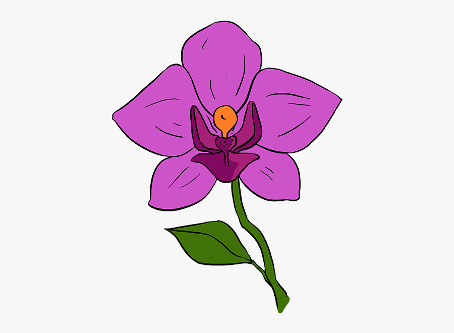 How To Draw A Beautiful Orchid - Simple Easy Orchid Drawings, Transparent Clipart