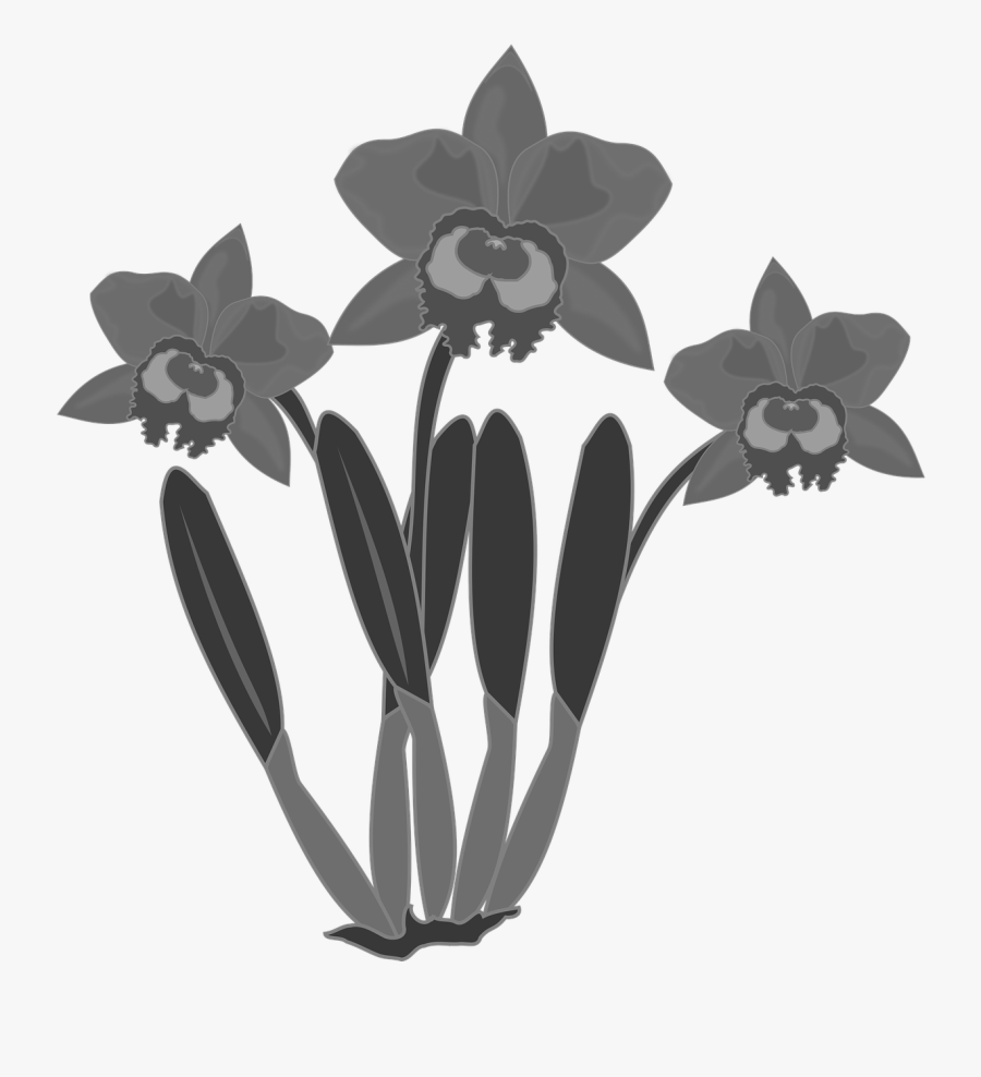 Transparent Flower Headband Png - Flower Orchid Clipart Black And White, Transparent Clipart